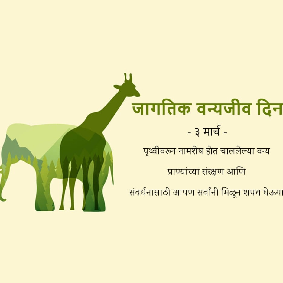 World Wildlife Day: 03 March | Download Poster, Status and hd PHotos Free 32 World Wildlife Day Png Download